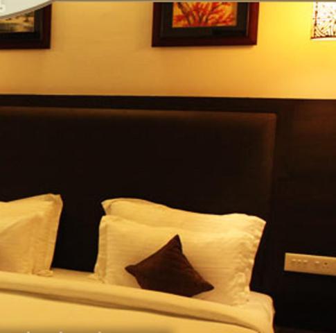 Hotel Avana Jaipur Bilik gambar